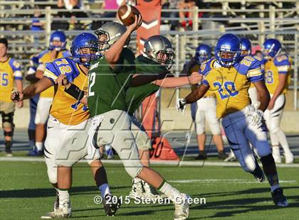 Thumbnail 1 in Del Campo @ Ponderosa photogallery.
