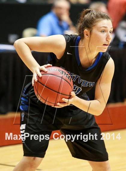 Thumbnail 1 in Desert Vista vs. Westview (AIA D1 Final) photogallery.