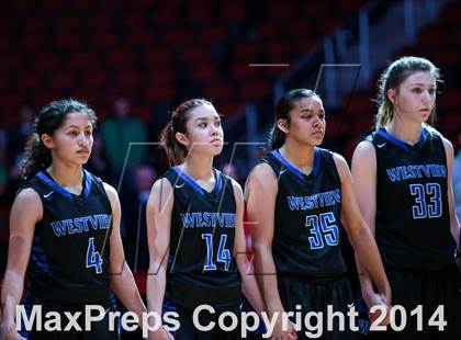 Thumbnail 3 in Desert Vista vs. Westview (AIA D1 Final) photogallery.