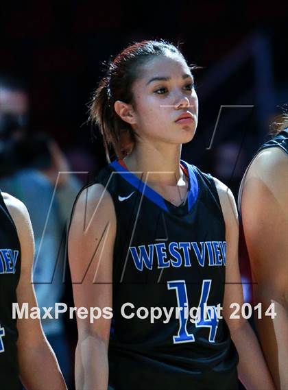 Thumbnail 2 in Desert Vista vs. Westview (AIA D1 Final) photogallery.