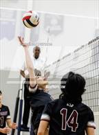 Photo from the gallery "Regis Groff @ James Irwin"