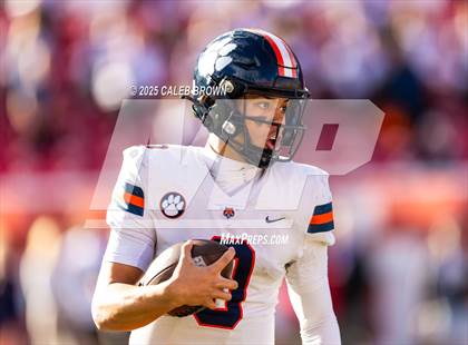 Thumbnail 1 in Brighton vs. Springville (UHSAA 5A Semifinal) photogallery.