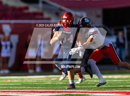 Thumbnail 2 in Brighton vs. Springville (UHSAA 5A Semifinal) photogallery.