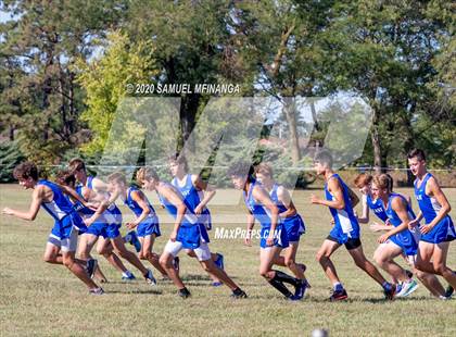 Thumbnail 2 in Varsity Quad @ Pioneers Park photogallery.