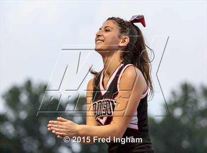 Thumbnail 2 in Madison @ Oakton photogallery.