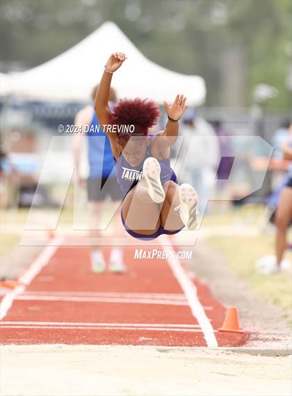 Thumbnail 3 in 2024 Marlin Invitational (Long Jump) photogallery.