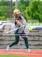 Photo from the gallery "Alma @ Mountain Home"