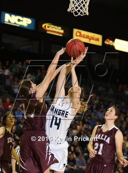 Thumbnail 3 in Idalia vs. Sangre de Cristo (CHSAA 1A Final) photogallery.