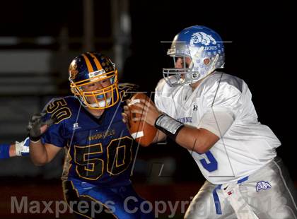 Thumbnail 3 in Bunnell @ Brookfield photogallery.