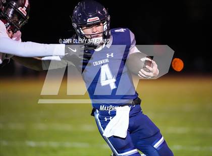 Thumbnail 1 in Chatfield @ Columbine photogallery.