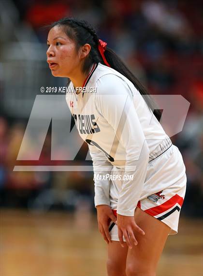 Thumbnail 3 in Page vs. Holbrook (AIA 3A Final) photogallery.