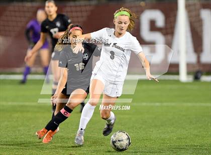 Thumbnail 2 in Archbishop Mitty vs. Saint Francis (CIF CCS Open Division Final) photogallery.