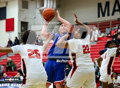 Thumbnail 1 in Highland @ Marion Harding photogallery.