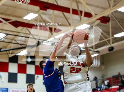 Thumbnail 2 in Highland @ Marion Harding photogallery.