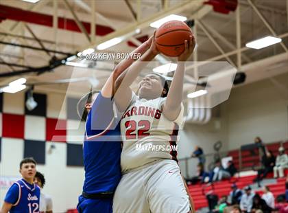 Thumbnail 1 in Highland @ Marion Harding photogallery.