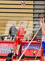 Photo from the gallery "Roncalli @ Southport"
