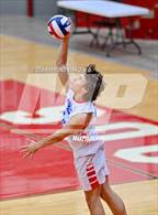 Photo from the gallery "Roncalli @ Southport"