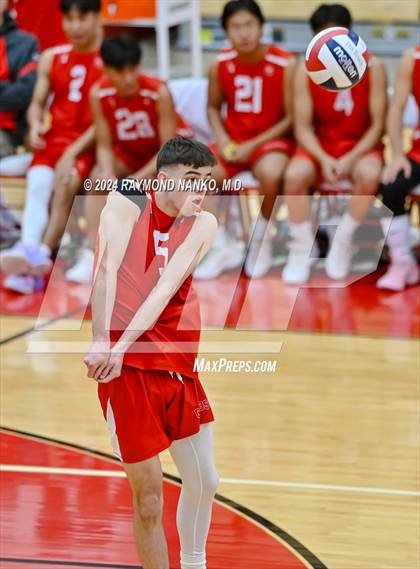 Thumbnail 2 in Roncalli @ Southport photogallery.