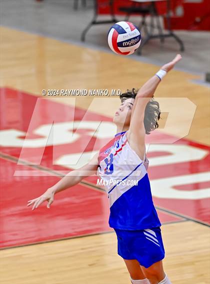 Thumbnail 1 in Roncalli @ Southport photogallery.
