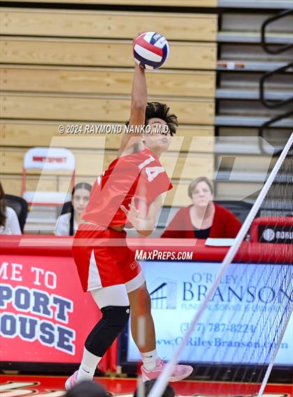 Thumbnail 1 in Roncalli @ Southport photogallery.