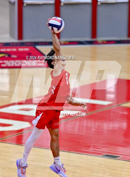 Thumbnail 2 in Roncalli @ Southport photogallery.