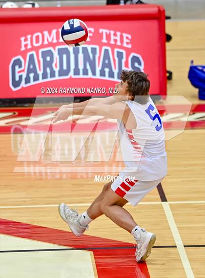 Thumbnail 2 in Roncalli @ Southport photogallery.
