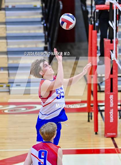 Thumbnail 3 in Roncalli @ Southport photogallery.