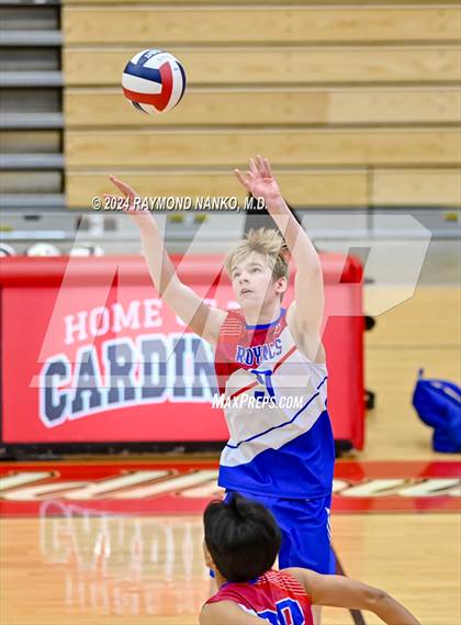 Thumbnail 1 in Roncalli @ Southport photogallery.