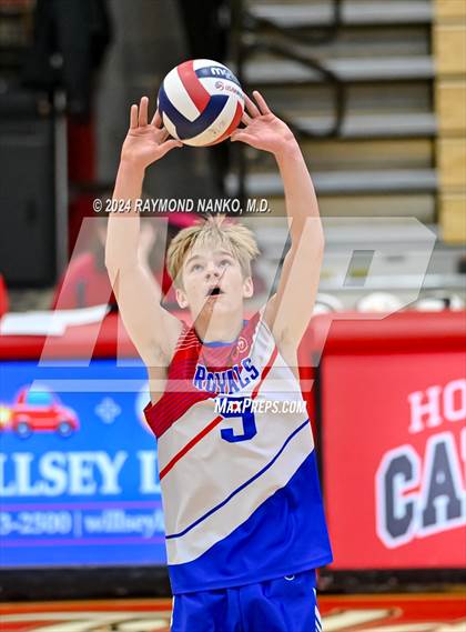 Thumbnail 1 in Roncalli @ Southport photogallery.