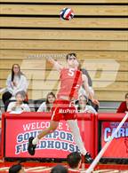 Photo from the gallery "Roncalli @ Southport"