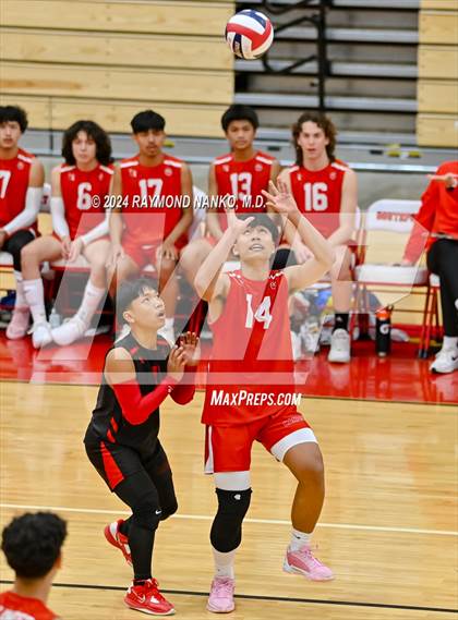 Thumbnail 1 in Roncalli @ Southport photogallery.