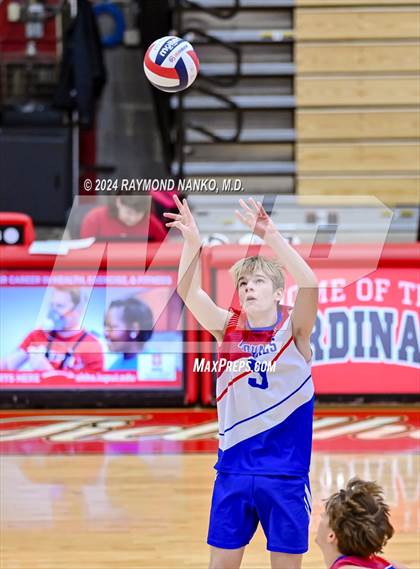 Thumbnail 3 in Roncalli @ Southport photogallery.
