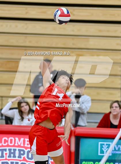 Thumbnail 1 in Roncalli @ Southport photogallery.