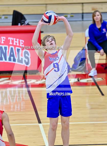 Thumbnail 2 in Roncalli @ Southport photogallery.