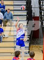 Photo from the gallery "Roncalli @ Southport"