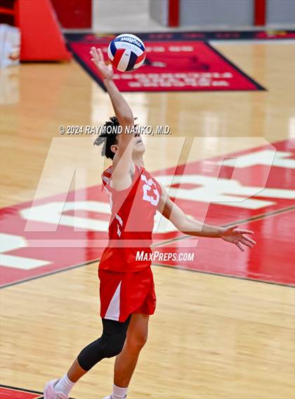 Thumbnail 1 in Roncalli @ Southport photogallery.