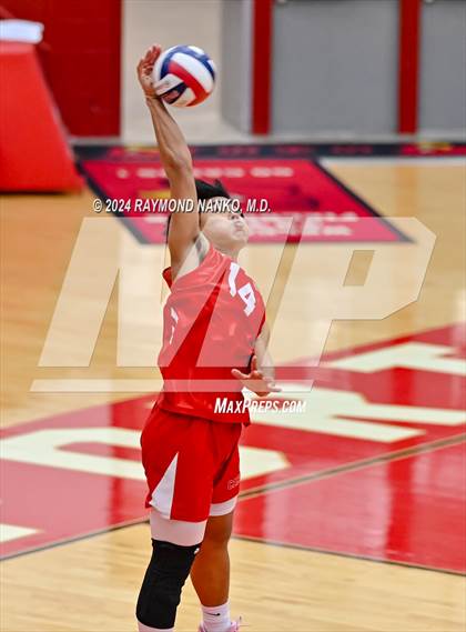 Thumbnail 2 in Roncalli @ Southport photogallery.