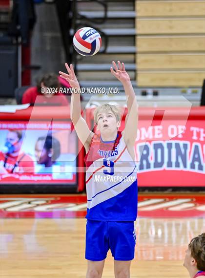 Thumbnail 2 in Roncalli @ Southport photogallery.