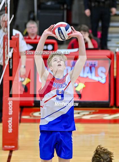 Thumbnail 1 in Roncalli @ Southport photogallery.