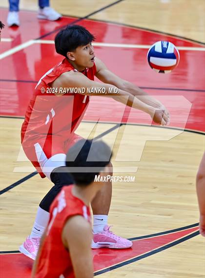 Thumbnail 3 in Roncalli @ Southport photogallery.