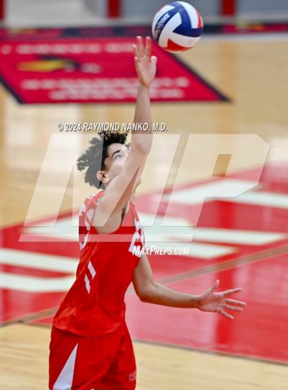 Thumbnail 3 in Roncalli @ Southport photogallery.