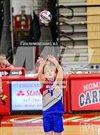 Photo from the gallery "Roncalli @ Southport"