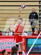 Photo from the gallery "Roncalli @ Southport"