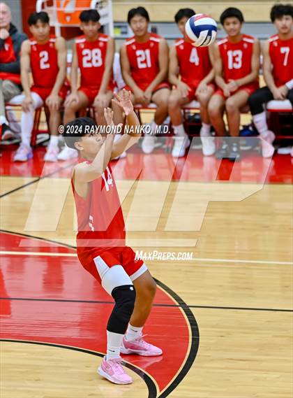 Thumbnail 2 in Roncalli @ Southport photogallery.