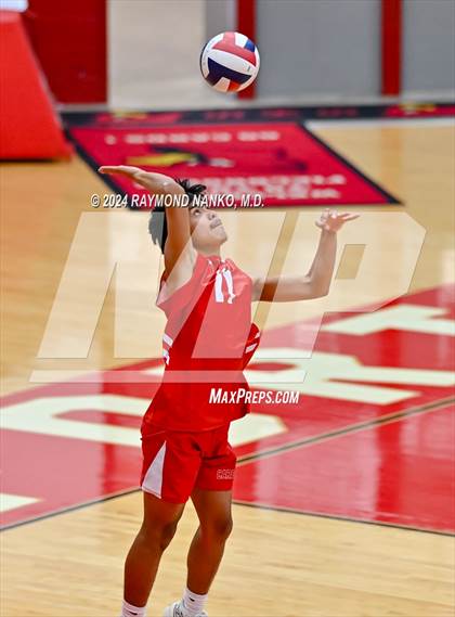 Thumbnail 3 in Roncalli @ Southport photogallery.