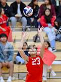 Photo from the gallery "Roncalli @ Southport"