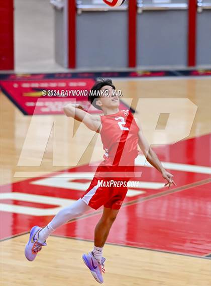 Thumbnail 1 in Roncalli @ Southport photogallery.