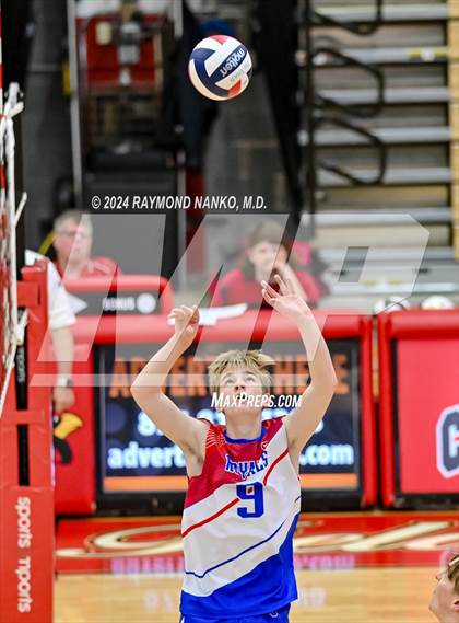 Thumbnail 1 in Roncalli @ Southport photogallery.