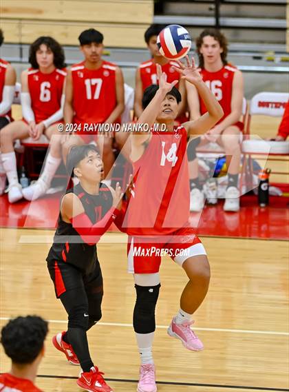 Thumbnail 2 in Roncalli @ Southport photogallery.