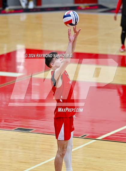 Thumbnail 2 in Roncalli @ Southport photogallery.
